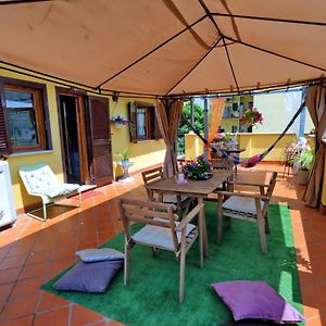 Appartement Penthouse à 1 Chambre à Coucher