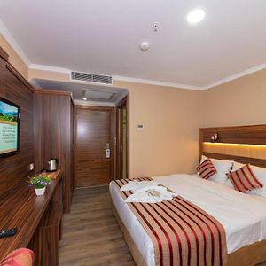 Chambre Standarde Triple