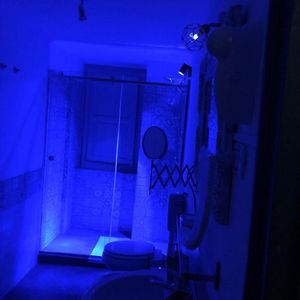 Suite Junior de Luxe