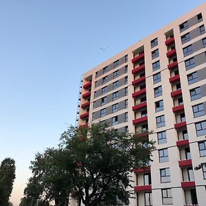 Appartement Studio