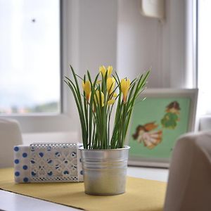 Appartement à 1 Chambre à Coucher