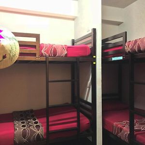 Chambre Juste Pour Femmes Dortoir