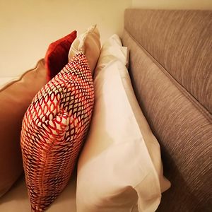 Studio Lit King-Size