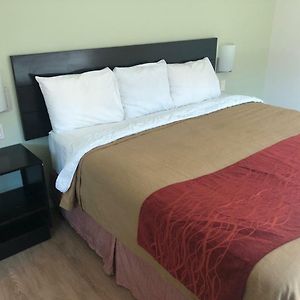 Chambre Standarde Lit King-Size