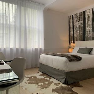 Chambre Supérieure Lit Queen-Size