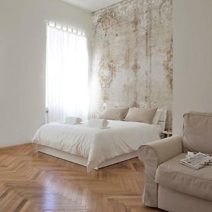 Rapanus Suites