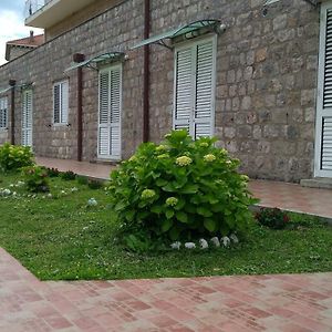 Guest House Eight Roses