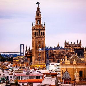 Sevilla Blossom Elegant And Bright 2 Rooms - 4Px