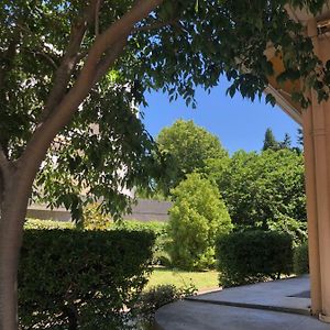 Appartement Mimosa
