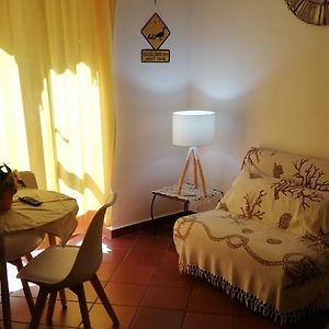 Marku'S House