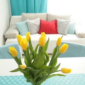 Appartement à 1 Chambre à Coucher