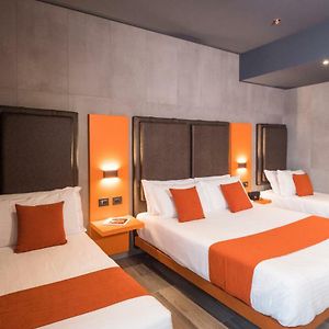 Chambre Standarde Quadruple
