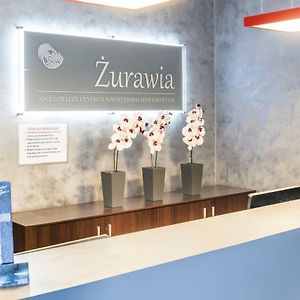 Scsk Zurawia