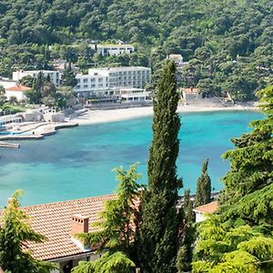 Beautiful Sea View Apartments