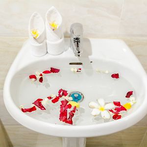 Chambre Supérieure Double