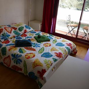 Appartement Studio