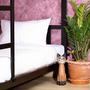 Chambre Juste Pour Femmes Dortoir