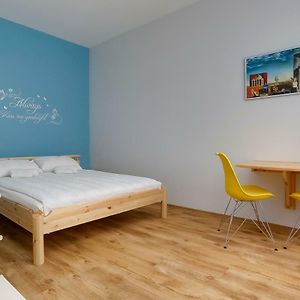 Orange Cat Rooms