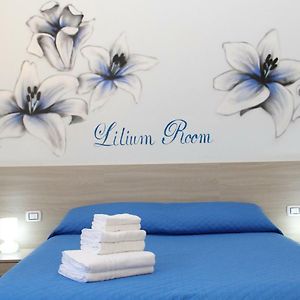 Chambre Quadruple