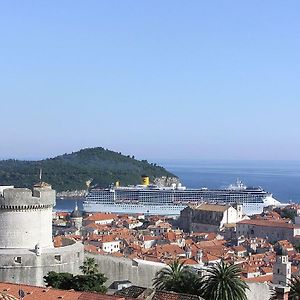Panoramic Apartment Lujak