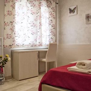 Chambre Standarde Lit King-Size
