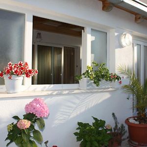 Apartment Anand