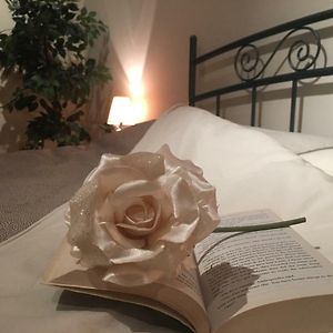 Chambre Lit Queen-Size