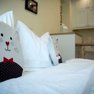 Amazing Apartment, City Centre, Modern, Elegant, Cozy