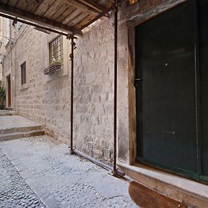 Apartman Nikola
