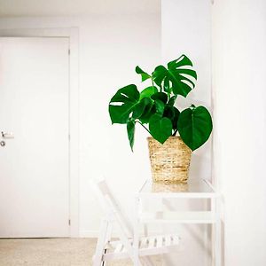 Chambre Quadruple
