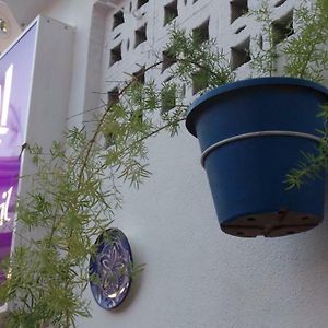 Maison 4 Chambres