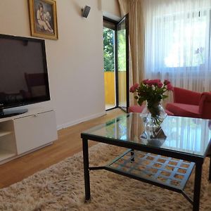 Colibri Apartment