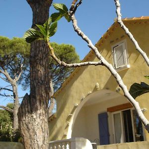 Maison 3 Chambres