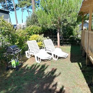 Mobile Home Luxe - La Palmyre