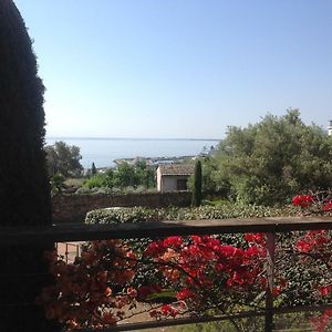 Jardins En Ville