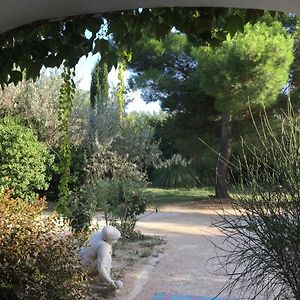 Maison de Vacances