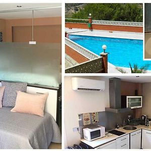 Appartement Studio