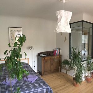 Sunrise apartment in the quiet centre