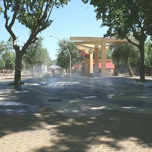 Casas De Sevilla - Estudio Peral 55