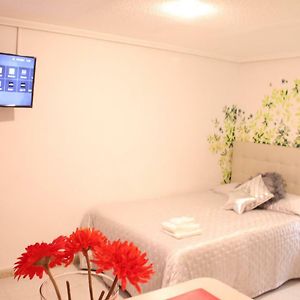 Appartement Rez-de-Chaussée