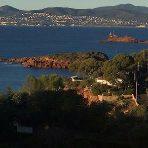 Résidence Le Château - Parc Santa Lucia