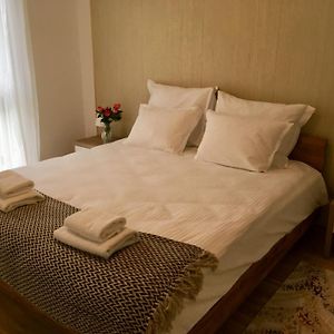 New Stylish Apartment