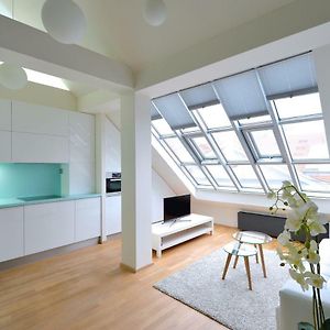 Designer Loft 2