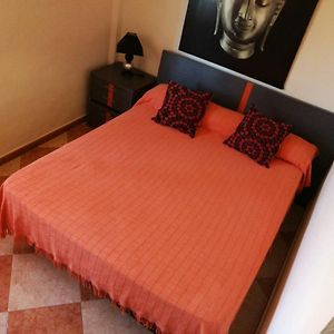 Cordoba Confort