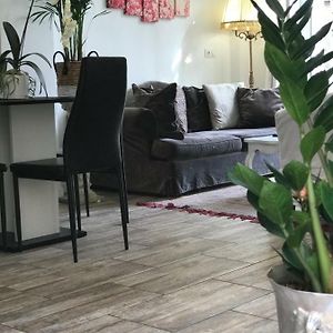 Appartement Rez-de-Chaussée