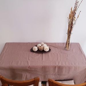 Spacious Apartment In The Historical Center Of Athens