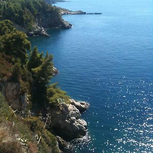Serendipity Dubrovnik Centre-Free Parking