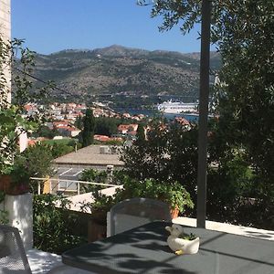 Apartman Vitis