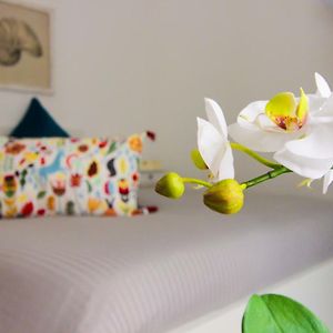 Maison 1 Chambre