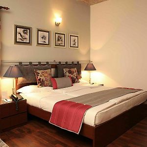 Chambre Standarde Lit King-Size